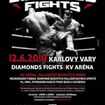Братья Поповы выступят в Чехии 12 июня Superboxing News: К-1, кикбоксинг и тайский бокс